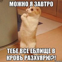 можно я завтро тебе все еблище в кровь разхуярю?!