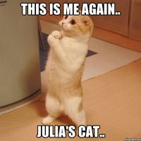 This is me again.. Julia's cat..