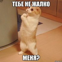 Тебе не жалко Меня?