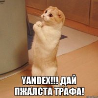  Yandex!!! Дай пжалста трафа!