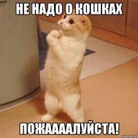 НЕ НАДО О КОШКАХ ПОЖААААЛУЙСТА!