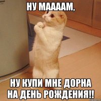 Ну маааам, ну купи мне Дорна на день рождения!!