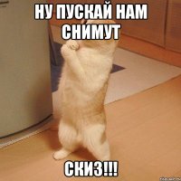 Ну пускай нам снимут СКИЗ!!!