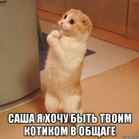  Саша я хочу быть твоим котиком в общаге