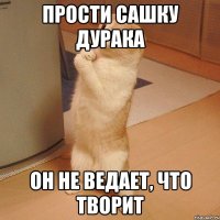 прости сашку дурака он не ведает, что творит