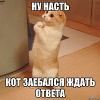 Ну Насть Кот заебался ждать ответа