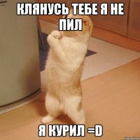 клянусь тебе я не пил Я курил =D