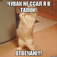 чувак не ссал я в тапки! Отвечаю!!!