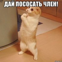 Дай пососать член! 