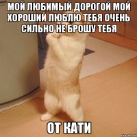 Мой любимый дорогой мой хороший Люблю тебя очень сильно не брошу тебя От Кати