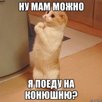 Ну мам можно я поеду на конюшню?