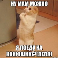 Ну мам можно я поеду на конюшню?(Леля)