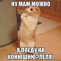 Ну мам можно я поеду на конюшню?Леля)