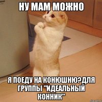 Ну мам можно я поеду на конюшню?Для группы "Идеальный конник"