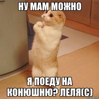 Ну мам можно я поеду на конюшню? Леля(c)