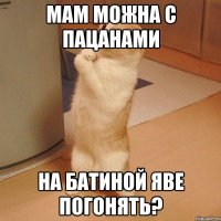 Мам можна с пацанами На батиной яве погонять?