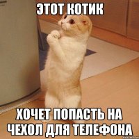 этот котик хочет попасть на чехол для телефона