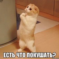  ЕСТЬ ЧТО ПОКУШАТЬ?