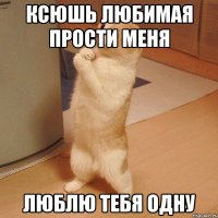 Ксюшь Любимая Прости Меня Люблю Тебя Одну