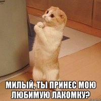  Милый, ты принес мою любимую Лакомку?