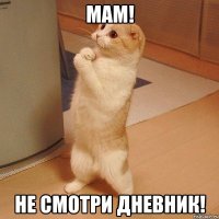 Мам! Не смотри дневник!