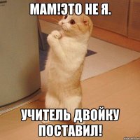 Мам!Это не я. Учитель двойку поставил!