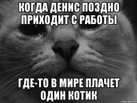 когда Денис поздно приходит с работы где-то в мире плачет один котик