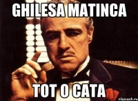 ghilesa matinca tot o cata