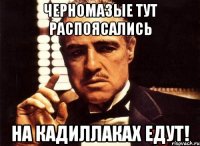 Черномазые тут распоясались На кадиллаках едут!