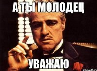 А ТЫ МОЛОДЕЦ УВАЖАЮ