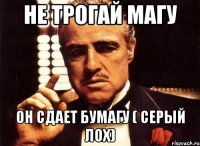 Не трогай Магу Он сдает бумагу ( серый лох)