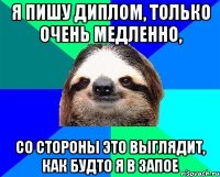 Я пишу диплом, только очень медленно, со стороны это выглядит, как будто я в запое