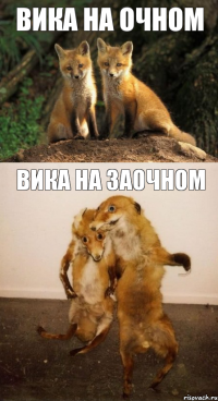 Вика на очном Вика на заочном