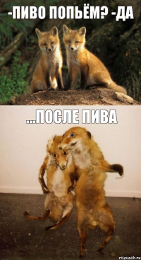 -пиво попьём? -да ...после пива