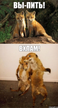 ВЫ-ПИТЬ! ВХЛАМ!