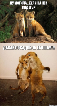 ну могила....хули на ней сидеть? давай посадобль ебошь!!!!!