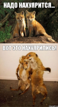 Надо нахуярится... Вот это нахуярились!