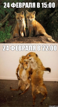 24 Февраля в 15:00 24 февраля в 22:00