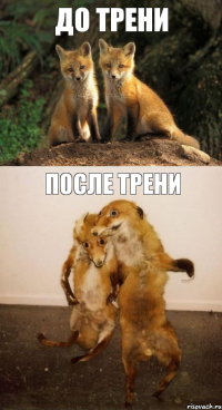 До трени После Трени