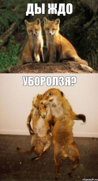 Ды ждо уборолзя?