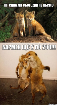 Ні Гєнка,ми сьогодні не пьємо Бармен щє 2 по 200!!!