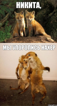 Никита, Мы упоролись нахер