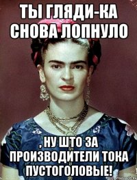 Ты гляди-ка снова лопнуло , ну што за производители тока пустоголовые!