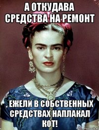 А откудава средства на ремонт , ежели в собственных средствах наплакал кот!