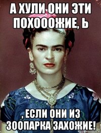 А хули они эти похооожие, Ь , если они из зоопарка захожие!