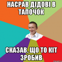 Насрав дідові в тапочок Сказав, що то кіт зробив