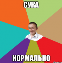 сука нормально