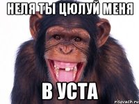 Неля ты цюлуй меня В уста