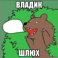 Владик шлюх