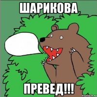 Шарикова превед!!!